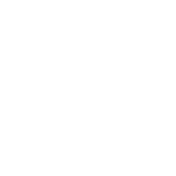 VISUALIZE