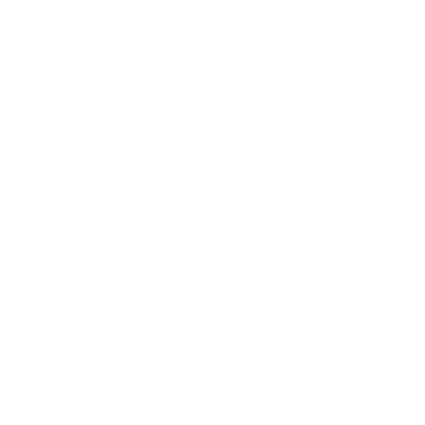 VISUALIZE RecPlay